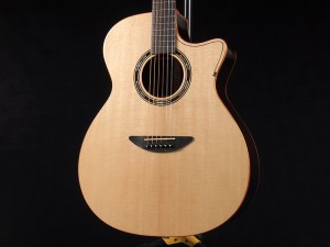 ディーシーティー ジャパン japan Cutaway カッタウェイ Takamine yamaha タカミネ ヤマハ 初心者 ビギナー 入門 女性 女子 子供 キッズ エレアコ eleaco