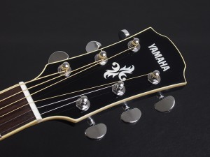 FG FS 初心者 入門向け 入門 ビギナー 女性 女子 子供 エレアコ フォーク ギター アコースティック ブラック Black 黒 ebony 小型 小ぶり CPX600 APX600 700II