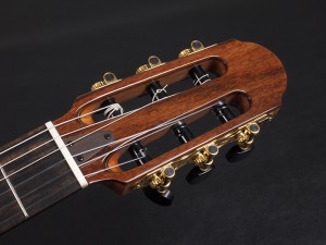 マルティネス マルチネス cordoba エレガット クラシック classic Flamenco Char 増崎孝司 薄型 thin body 薄型 godin multiac Nylon ゴダン