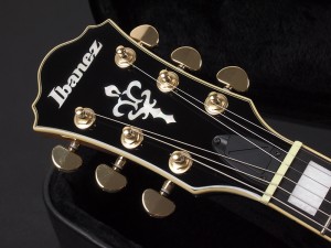 アイバニーズ イバニーズ gibson epiphone eastman momose fujigen es-335 345 355 135 165 l-5 l-4 アートコア エクスプレッショニスト artstar アートスター GB EKM PM JSM