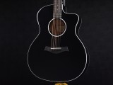 タイラー 114ce 214ce 314ce 2019 ハワイアンコア DLX deluxe エレアコ electric acoustic ES2 初心者 入門