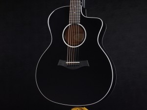 タイラー 114ce 214ce 314ce 2019 ハワイアンコア DLX deluxe エレアコ electric acoustic ES2 初心者 入門