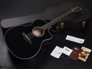 タイラー 114ce 214ce 314ce 2019 ハワイアンコア DLX deluxe エレアコ electric acoustic ES2 初心者 入門