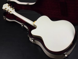 フルアコ セミアコ Blues Jazz epiphone wildkat ロカビリー グレッチ ホワイト ファルコン Gretsch White Falcon THE SECT 松田和宏