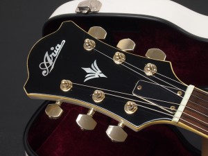 フルアコ セミアコ Blues Jazz epiphone wildkat ロカビリー グレッチ ホワイト ファルコン Gretsch White Falcon THE SECT 松田和宏