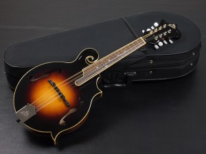 ロアー gibson ギブソン epiphone エピフォン suzuki 鈴木バイオリン eastman イーストマン 八田 フラット ビギナー 初心者