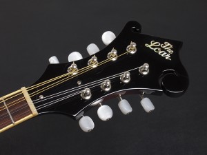 ロアー gibson ギブソン epiphone エピフォン suzuki 鈴木バイオリン eastman イーストマン 八田 フラット ビギナー 初心者