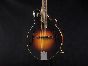 ロアー gibson ギブソン epiphone エピフォン suzuki 鈴木バイオリン eastman イーストマン 八田 フラット ビギナー 初心者