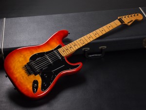 シェクター REXY EXCEED ST CTM PT S TRAD N SD NV RJ BH KR トム アンダーソン drop top classic suhr ジョン サー esp 国産 日本製 made in japan MIJ