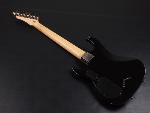 リッチ assassin villain アサシン ibanez アイバニーズ イバニーズ schecter シェクター RG7420Z RG7421 DAMIEN PLATINUM BANSHEE