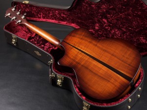 タイラー 412 314 514 814 e ce rosewood RW K14 K24 Hawaiian エレアコ V クラス LTD ハワイアン コア 限定 limited Edition