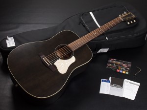 seagull simon&patrick Godin エレアコ made in canada カナダ製 初心者 入門 ビギナー 女性 女子 子供 キッズ DREADNOUGHT ドレッドノート フォーク fishma