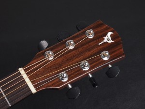 ディーシーティー ジャパン japan Drednought ドレッドノート Takamine yamaha タカミネ ヤマハ 初心者 ビギナー 入門 女性 女子 子供 キッズ