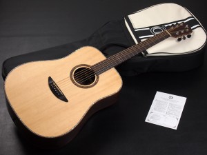 ディーシーティー ジャパン japan Drednought ドレッドノート Takamine yamaha タカミネ ヤマハ 初心者 ビギナー 入門 女性 女子 子供 キッズ