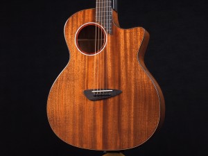 ロッソ エフェクト エレアコ トランス アコースティック yamaha ヤマハ trans acoustic Skysonic R2 ​レゾナンス LL-TA LS-TA FG-TA FS