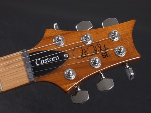 PRS カスタム 22 RSTM FR TG standard torero LTD フロイドローズ トランパス グリーン matteo マテオ 限定 CE thermally Neck