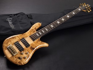 Spector　Euro 5LX Poplar Burl Gloss