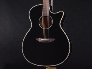 ディーシーティー ジャパン japan Cutaway カッタウェイ Takamine yamaha タカミネ ヤマハ 初心者 ビギナー 入門 女性 女子 子供 キッズ エレアコ