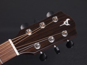 ディーシーティー ジャパン japan Cutaway カッタウェイ Takamine yamaha タカミネ ヤマハ 初心者 ビギナー 入門 女性 女子 子供 キッズ エレアコ