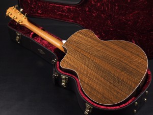 タイラー 114ce 214ce 314ce 2019 オバンコール DLX deluxe エレアコ electric acoustic ES2 初心者 限定 limited Edition OVA