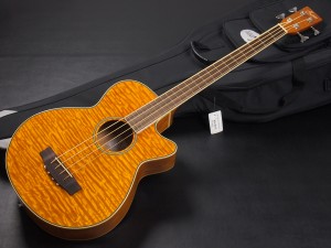 ゼン エレアコ ベース アコースティック アコベ aria FEB-FL F AB-295 fender kingman bass フレットレス fretless acoustic bass