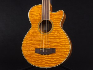 ゼン エレアコ ベース アコースティック アコベ aria FEB-FL F AB-295 fender kingman bass フレットレス fretless acoustic bass