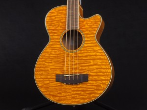 ゼン エレアコ ベース アコースティック アコベ aria FEB-FL F AB-295 fender kingman bass フレットレス fretless acoustic bass