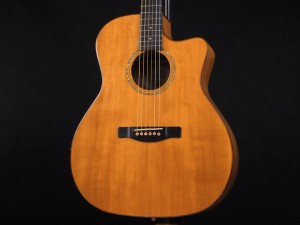 フェンダー sonoran malibu FA-125 CC-60 FA-345 redondo newporter ユイ ソノラン レドンド ニューポーター taylor テイラー academy アカデミー