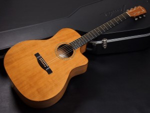 フェンダー sonoran malibu FA-125 CC-60 FA-345 redondo newporter ユイ ソノラン レドンド ニューポーター taylor テイラー academy アカデミー