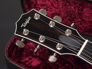 タイラー T5z Custom Classic standard godin duet steel multiac ゴダン acoustasonic MIYABI アコースタソニック Fender