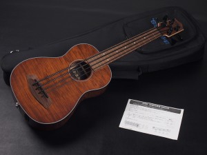 EXOTIC MAHOGANY FRETLESS EM-FS EM-FSRW SMHG-FL EBY-FL RMBL SSMHG JYMN journeyman RUMBLER Passenger PSGR S.yairi MAHALO ARIA