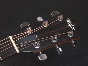 タイラー 114ce 214ce 314ce Koa Hawaiian 2017 2018 ハワイアンコア DLX deluxe エレアコ electric acoustic ES2 初心者 入門