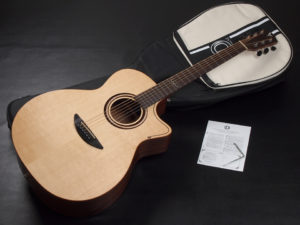 ディーシーティー ジャパン japan Cutaway カッタウェイ Takamine yamaha タカミネ ヤマハ 初心者 ビギナー 入門 女性 女子 子供 キッズ エレアコ eleaco