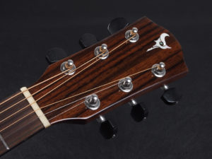 ディーシーティー ジャパン japan Cutaway カッタウェイ Takamine yamaha タカミネ ヤマハ 初心者 ビギナー 入門 女性 女子 子供 キッズ エレアコ eleaco