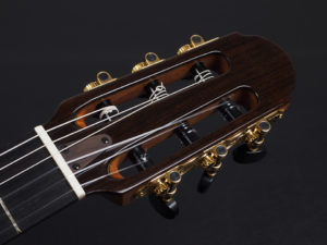 マルティネス マルチネス cordoba エレガット クラシック classic Flamenco Char 増崎孝司 薄型 thin body 薄型 godin multiac Nylon ゴダン