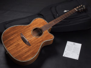 ディーシーティー Takamine yamaha 初心者 入門 女性 女子 エレアコ hawaiian koa コア材 ハワイアンコア 小型 小ぶり 000 OOO OM GR-640K 300CE