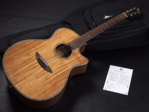 ディーシーティー Takamine yamaha 初心者 入門 女性 女子 エレアコ hawaiian koa コア材 ハワイアンコア 小型 小ぶり 000 OOO OM VR-640K 300CE