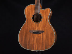 ディーシーティー Takamine yamaha 初心者 入門 女性 女子 エレアコ hawaiian koa コア材 ハワイアンコア 小型 小ぶり 000 OOO OM GR-640K 300CE