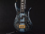 BanG Dream! RAISE A SUILEN Darkglass Custom Blue Bartolini warwick streamer スペクター スタインバーガー NS Design Limited LTD