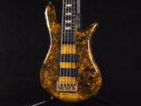 BanG Dream! RAISE A SUILEN Darkglass 5 String Custom Super Long Scale warwick streamer スペクター スタインバーガー NS Design Limited LTD