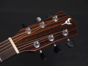 ディーシーティー ジャパン japan Cutaway カッタウェイ Takamine yamaha タカミネ ヤマハ 初心者 ビギナー 入門 女性 女子 子供 キッズ エレアコ eleaco