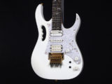 Buzz Feiten バズフェイトン Sustainer サスティナー Steve Vai スティーブ ヴァイ monkey grip EVO FLO T's Fujigen フジゲン RG S