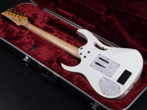 Buzz Feiten バズフェイトン Sustainer サスティナー Steve Vai スティーブ ヴァイ monkey grip EVO FLO T's Fujigen フジゲン RG S