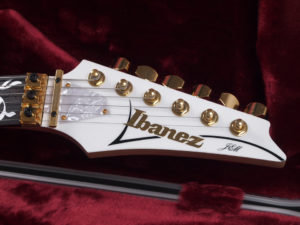 Buzz Feiten バズフェイトン Sustainer サスティナー Steve Vai スティーブ ヴァイ monkey grip EVO FLO T's Fujigen フジゲン RG S