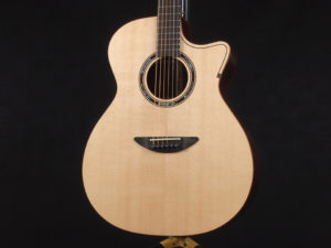 ディーシーティー ジャパン japan Cutaway カッタウェイ Takamine yamaha タカミネ ヤマハ 初心者 ビギナー 入門 女性 女子 子供 キッズ エレアコ eleaco