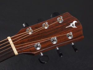 ディーシーティー ジャパン japan Cutaway カッタウェイ Takamine yamaha タカミネ ヤマハ 初心者 ビギナー 入門 女性 女子 子供 キッズ エレアコ eleaco