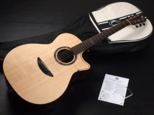 ディーシーティー ジャパン japan Cutaway カッタウェイ Takamine yamaha タカミネ ヤマハ 初心者 ビギナー 入門 女性 女子 子供 キッズ エレアコ eleaco