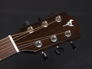 ディーシーティー ジャパン japan Cutaway カッタウェイ Takamine yamaha タカミネ ヤマハ 初心者 ビギナー 入門 女性 女子 子供 キッズ エレアコ eleaco