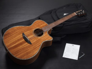 ディーシーティー Takamine yamaha 初心者 入門 女性 女子 エレアコ hawaiian koa コア材 ハワイアンコア 小型 小ぶり 000 OOO OM VR-640K 300CE