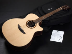 ディーシーティー ジャパン japan Cutaway カッタウェイ Takamine yamaha タカミネ ヤマハ 初心者 ビギナー 入門 女性 女子 子供 キッズ エレアコ eleaco